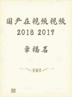 国产在视频视频2018 2019